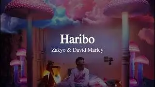 Zakyo & David Marley - Haribo (Lyrics)