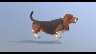 HOUND DOG TROT WALKING Fbx Pbr