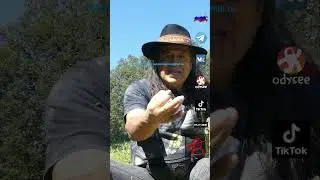 Tu siempre debes trabajar