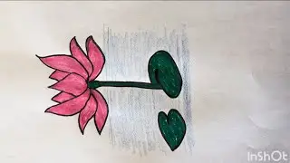 Let&rsquo;s draw ✍️ lotus 🪷 flower 🎀✨🫶#lotus #drawing #beginner&rsquo;s art 🖼️ #youtubevideo #viralvideo 