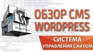 Обзор преимуществ и недостатков CMS Wordpress 2017 &mdash; Максим Набиуллин