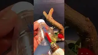 Methods for making a simple homemade lamp holder 💡🧰🔨
