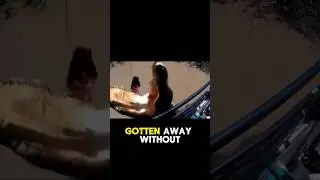 Massive Croc Almost Jumps Into A Boat??