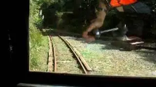 Bush Tramway in the Waitakeres