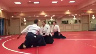 Aikido Aikikai - 2nd Dan Anne Marie Nidan Test at USAF Aikido Winter Camp 2016 Part 1 of 3