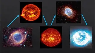 The Epic Stellar Journey of a Low-Mass Star: From Birth to Death