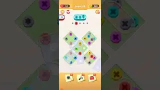 Screw Pin Nuts Jam Puzzle Level 25
