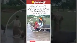 Inspiring Humanity in Flood Relief #helping #kindness #emotional #respect #short #viral #inspiration