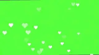 Montion Green Screen love