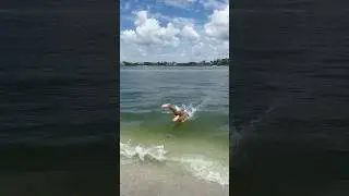 How to properly release a fish!