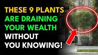 Throw It Out Now! 9 Plants At Your Front Door Are Quietly Draining Your Family&rsquo;s Money Luck
