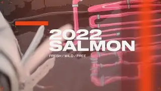 2022 SLINGSHOT WAKE: Salmon Wakeboard