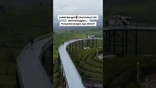 NIMO HIGHLAND PANGALENGAN | MELIHAT KEBUN TEH DARI KETINGGIAN ‼️ REKOMENDASI WISATA DI BANDUNG 2025