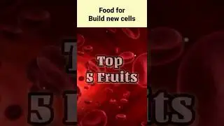 Top Foods to Boost Cell Regeneration and Build Healthy Cell |Pavi 🤙 91 6369596224