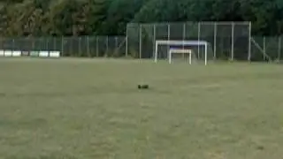 nitro car, dies and run away