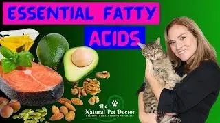 Essential Fatty Acids and Fish Oil for Dogs and Cats