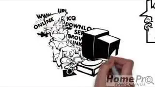 Mold Inspection & Removal in Los Angeles & Orange County