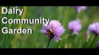 Darly Community Garden, Dalry, Scotland, 4K