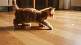 I Thought She Was Gone... But Then This Happened 😭 #shorts #ytshort #short