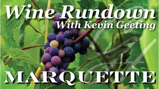 Wine Rundown - Marquette