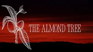 THE ALMOND BRANCH (This is mind blowing🤯) 