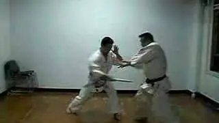 Hiko Ryu Taijutsu Basic Training 3-3 Kiyoshi Takeuchi