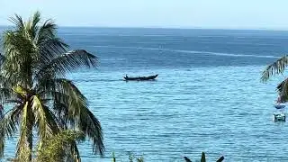 Free Beach Footage with Relaxing Ocean Waves & Insect Sounds | Small Boat on the Sea