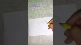 how to draw a teapot and tea cup with butterfly