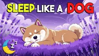 Fantasy Animal Adventure Sleep Story | Dream Life of a Brave Dog