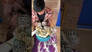 How to packing succulents for shipping 🪴 #succulents #多肉植物 #다육이들 #suculentas