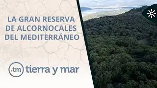 Tierra y mar | El futuro del corcho