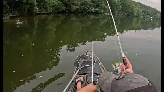 Wednesday evening fishing trip on Watts Bar Lake