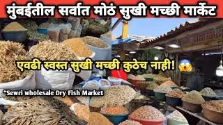 होलसेल सुखी मच्छी मार्केट मुंबई | Sewri Dry Fish Market | Biggest Wholesale Dry Fish Market Mumbai 🐟
