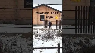 Работа, работа, перейди на Федота 😁 #работник #работа #евроштакетник #забор #стройка #каркасныйдом