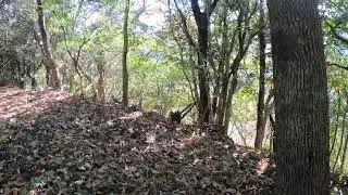 スクモ塚　頂上の風景