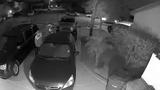 Detectives Seek Public&rsquo;s Help in Identifying 459 Suspects