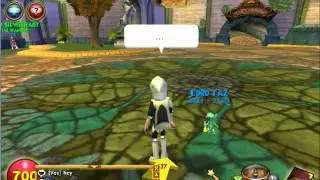 Wizard101 | Quality Test | Hyper Cam