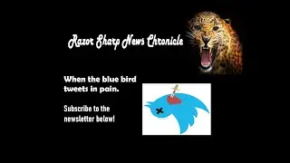 When the Blue Bird tweets in pain. #Twitter - Newsletter video