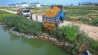 New project Heavy Dump Truck Discharging Soil into Waterway: Crucial Land Development Earthwork