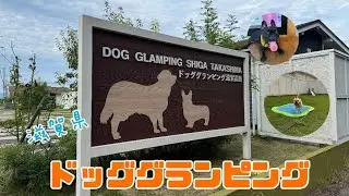 初めてのグランピング@ドッググランピング滋賀高島。フレブル姉妹