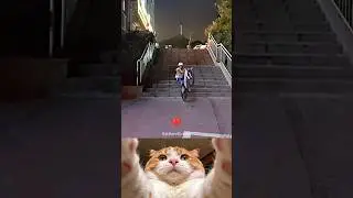 Ridding Bicycle ❌ Funny moment 🤣😂#cat #viral #comedy #shorts #sora