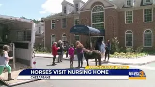 Horses visit nursing home
