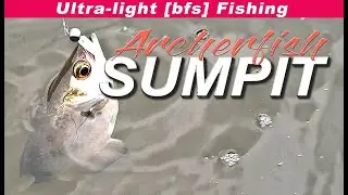 BFS Bait Finesse Archerfish - Calcutta Conquest BFS + Finch 48 UL Travel Rod