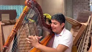 TODOS SE ADMIRAN - PROBANDO ARPA NUEVA PACCHINA EN EL MISMO TALLER