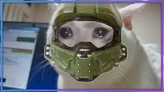 whe when you don't get invited to the halo infinite flight