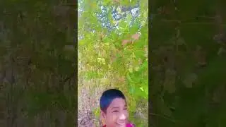 kaju #mrbeast #cutebaby #funnymemes #construction