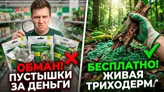 МАГАЗИННЫЙ ОБМАН! Как найти ТРИХОДЕРМУ в лесу и не купить МЕРТВЫЙ хлам за деньги