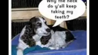 loldogs