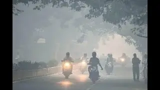 Cold wave grips north India, temperatures to drop in Delhi from Sunday
