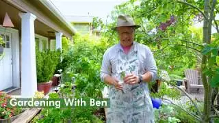 Gardening With Ben
